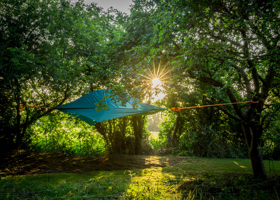 next-level-camping-tentsile-euphoria.jpg