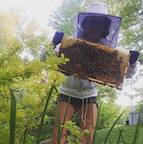 Beekeeping Basics.jpg